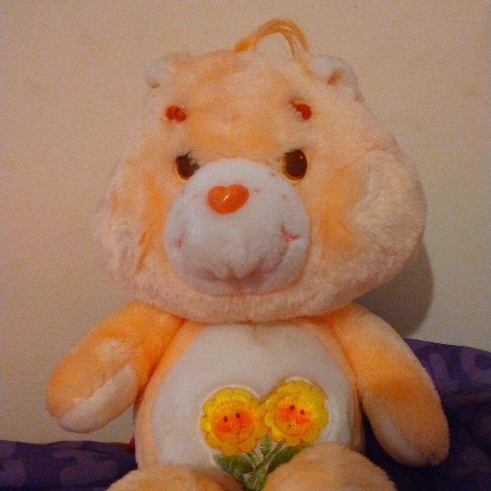1980 kenner care bear